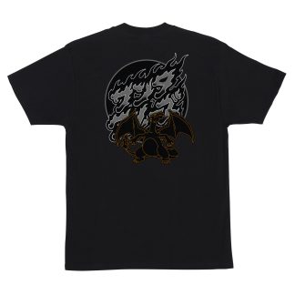 Pokémon Fire Type 3 S/S Heavyweight T-Shirt Black Mens Santa Cruz