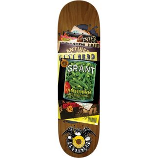 Anti Hero Grant Taylor Studio Deck 8.5"